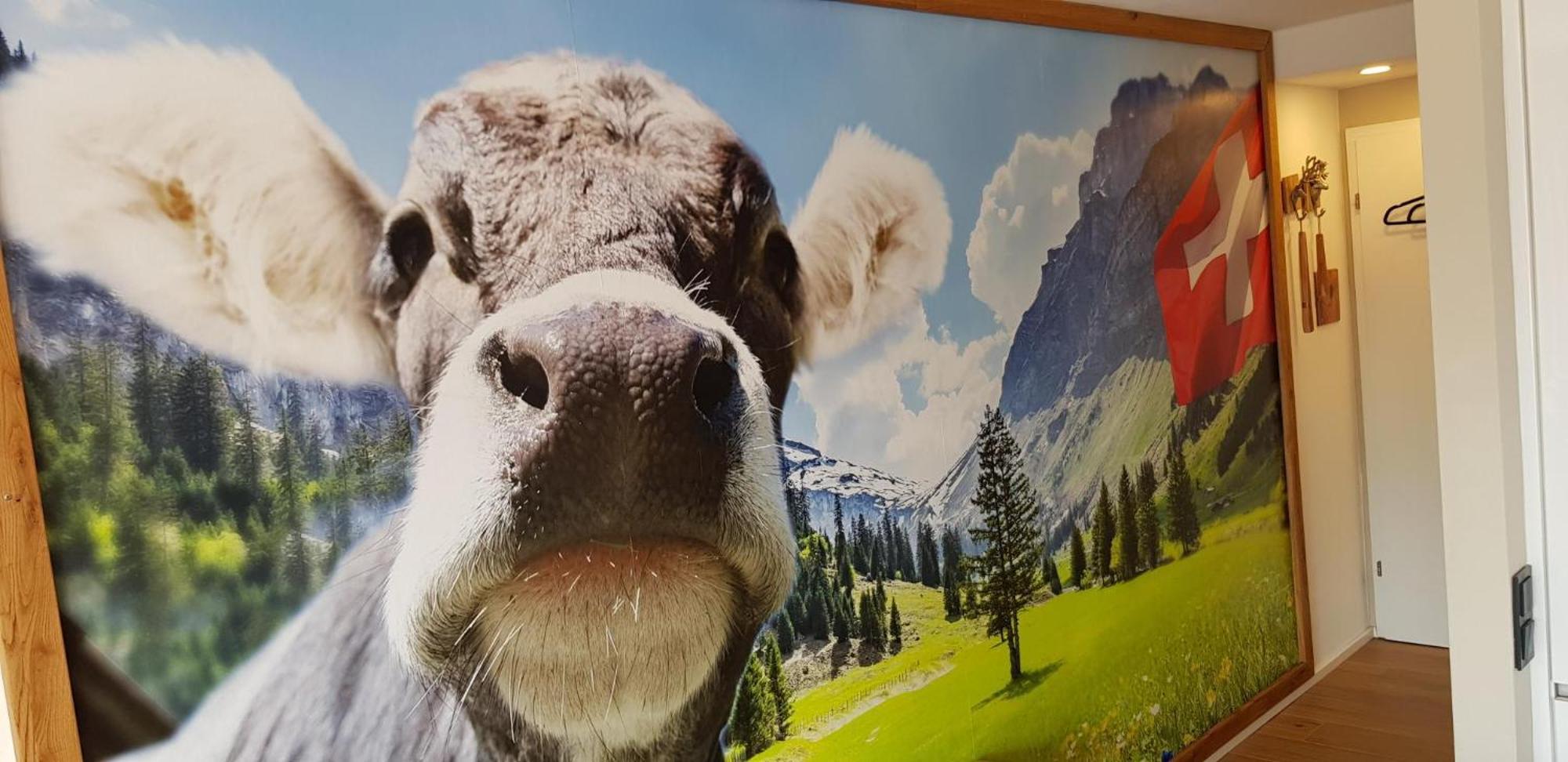 Almi - Alpenglueck Traumhafte Whg.M.20Qm Dachterr. Lejlighed Oberstaufen Eksteriør billede
